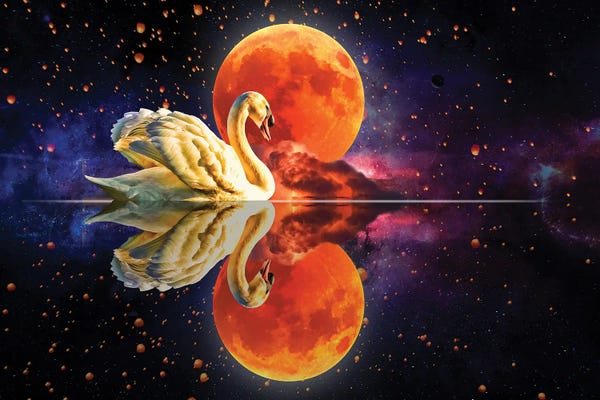 Imagination: Swan Lake by David Loblaw