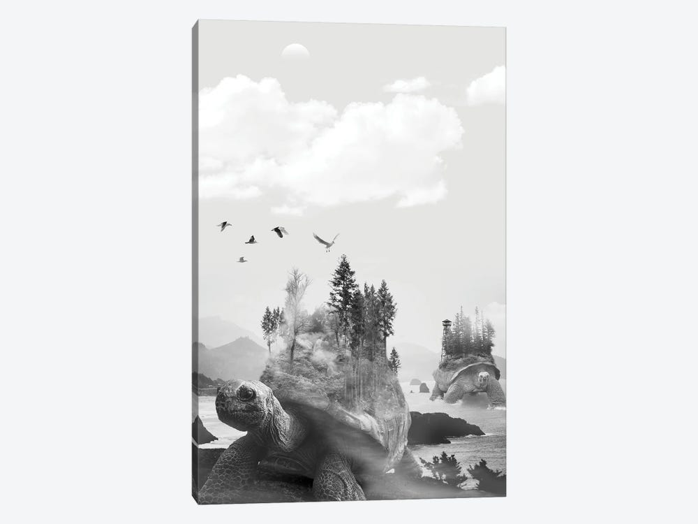 Turtle And The Trees by David Loblaw 1-piece Canvas Wall Art