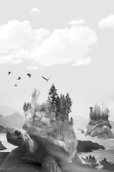 Imagination: Turtle And The Trees by David Loblaw