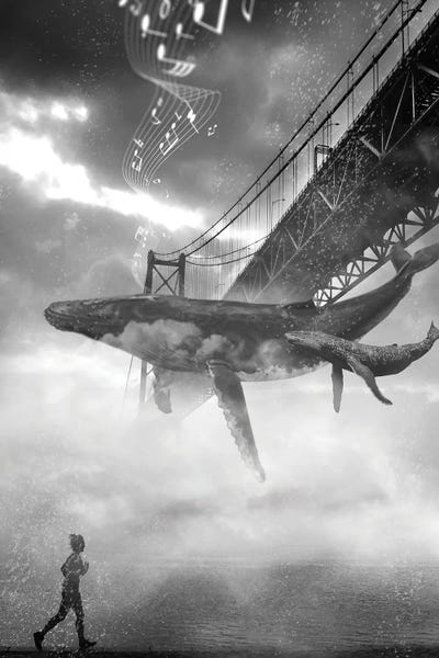 Golden Gate Bridge: Whale Music Under The Golden Gate Bridge by David Loblaw