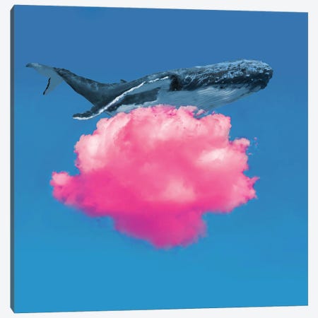 Whale Resting Canvas Print #DLB97} by David Loblaw Canvas Art Print