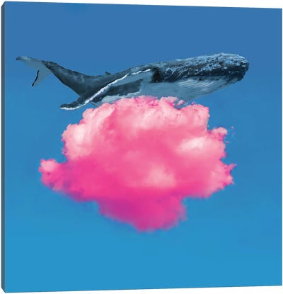 Whale Resting Canvas Art Print - David Loblaw