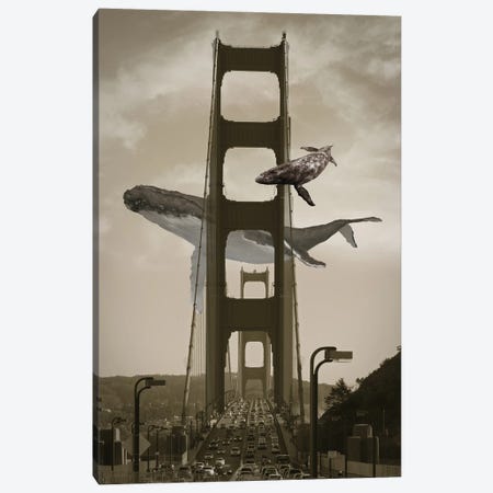 Whale Watching From The Golden Gate Birdge Canvas Print #DLB99} by David Loblaw Canvas Artwork