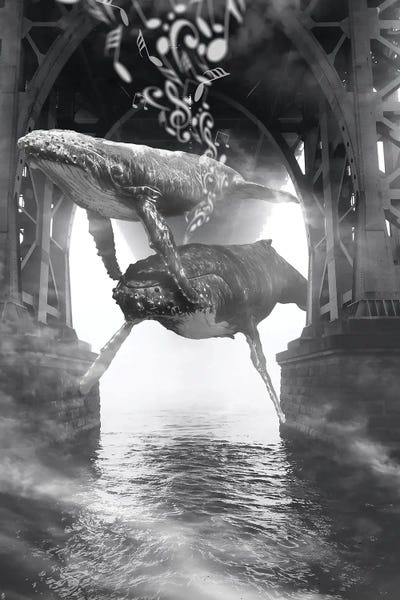 Imagination: Hide And Seek Whale Music by David Loblaw