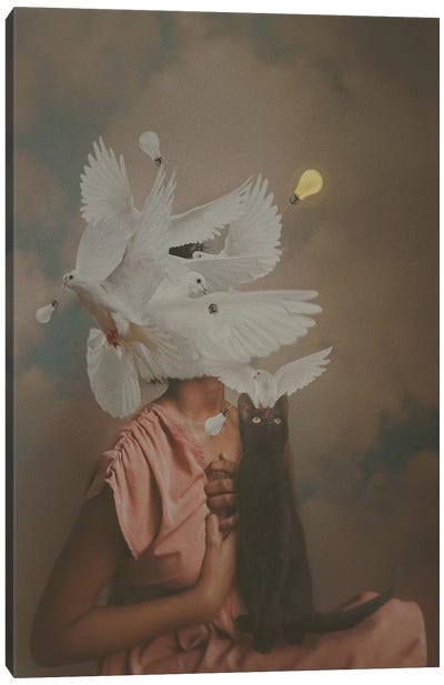 Light vs. Dark Canvas Art Print - Dove & Pigeon Art