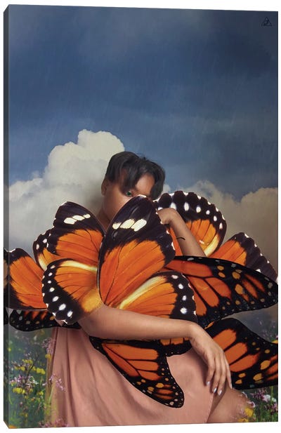 Butterfly Canvas Art Print - Monarch Metamorphosis