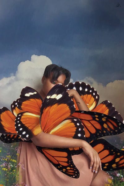 Deandra Lee: Butterfly by Deandra Lee