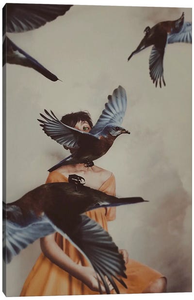 Falling Apart Canvas Art Print - Raven Art