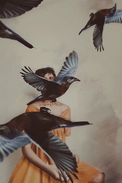 Deandra Lee: Falling Apart by Deandra Lee