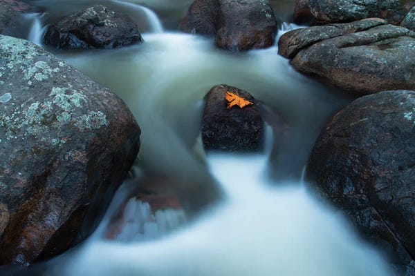 Dustin LeFevre: Alone In Autumn Splendor by Dustin LeFevre