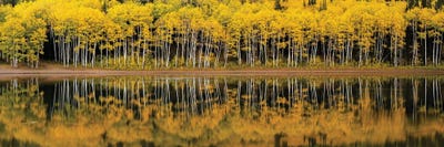 Forest Lake Reflection Panorama by Dustin LeFevre multi panel art