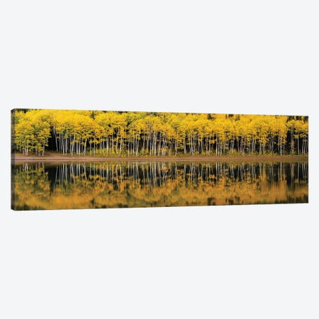 Forest Lake Reflection Panorama Canvas Print #DLF103} by Dustin LeFevre Canvas Art Print