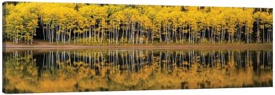 Forest Lake Reflection Panorama Canvas Art Print - Dustin LeFevre