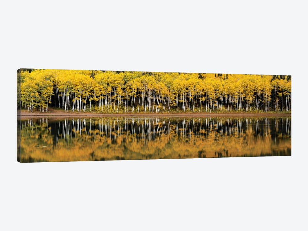Forest Lake Reflection Panorama by Dustin LeFevre 1-piece Canvas Print