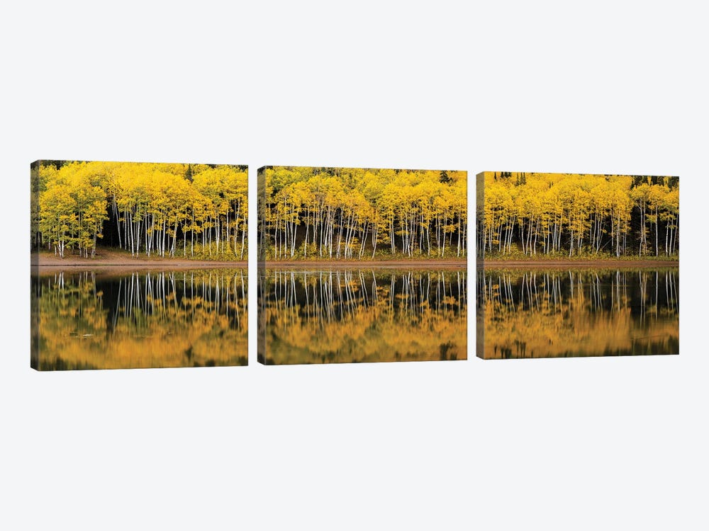 Forest Lake Reflection Panorama by Dustin LeFevre 3-piece Art Print
