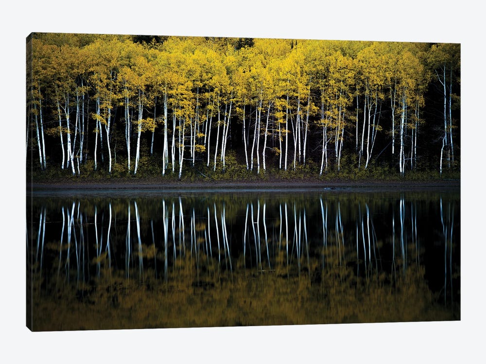 Forest Mirror by Dustin LeFevre 1-piece Art Print