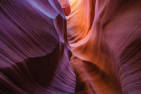 Dustin LeFevre: Polychrome by Dustin LeFevre