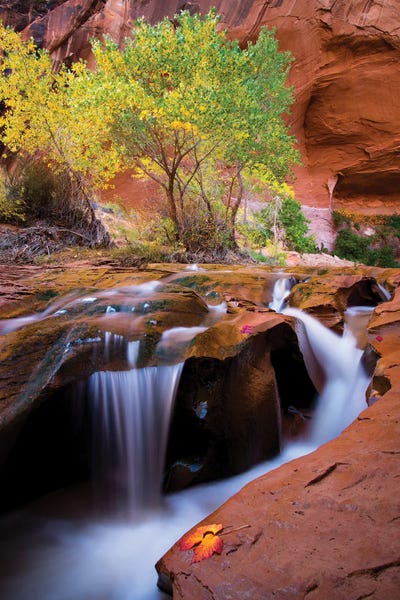 Dustin LeFevre: Swiss Cheese Falls by Dustin LeFevre