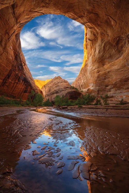 Coyote Gulch