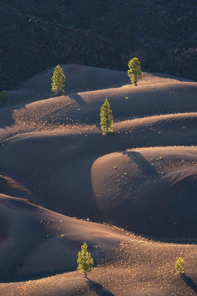 Volcanic Life