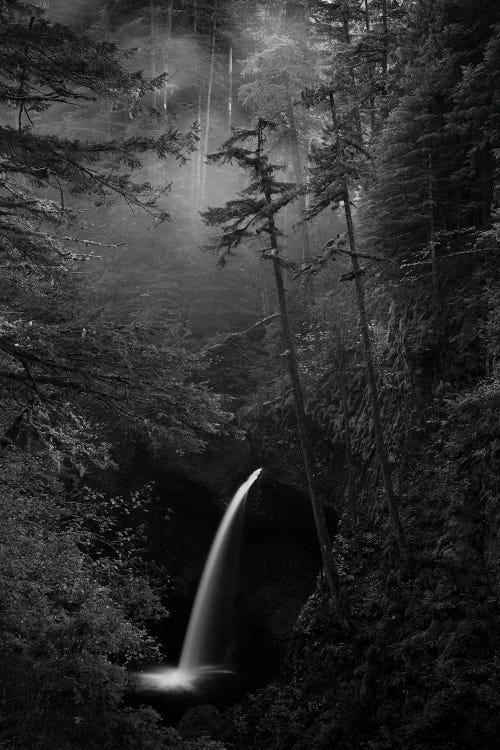 Columbia River Gorge by Dustin LeFevre wall art