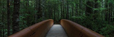 Bridge To Serenity by Dustin LeFevre framed canvas print