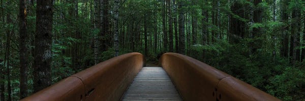 Dustin LeFevre: Bridge To Serenity by Dustin LeFevre