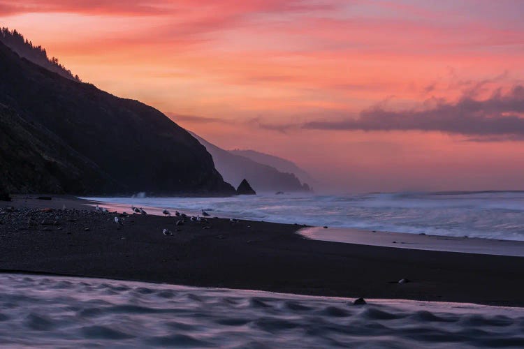 Lost Coast by Dustin LeFevre wall art