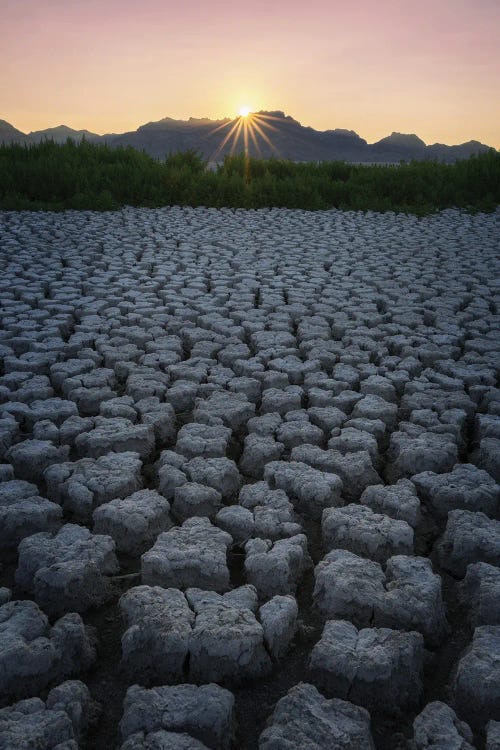 Cracked Earth