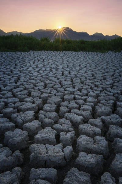 Dustin LeFevre: Cracked Earth by Dustin LeFevre