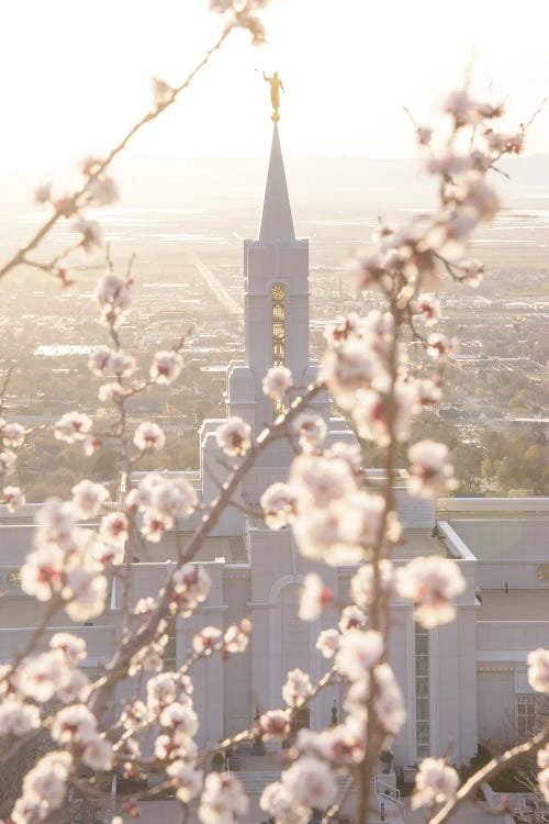 Bountiful Spring by Dustin LeFevre wall art