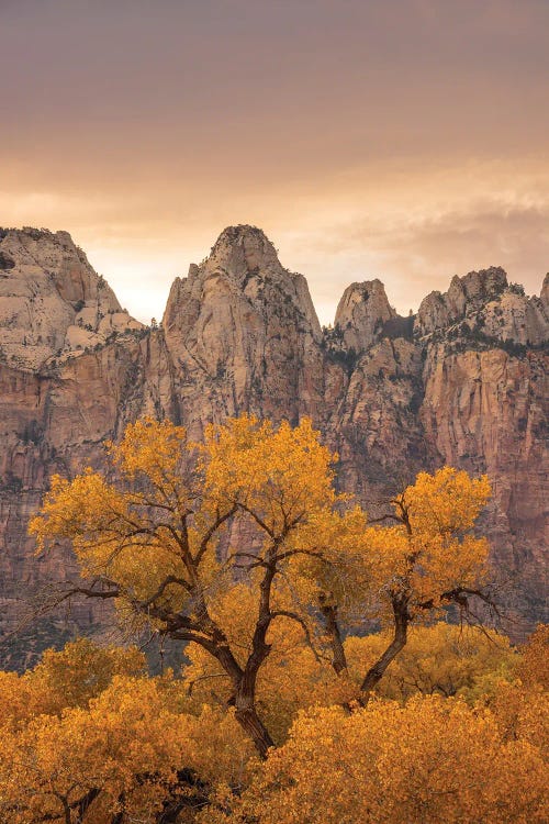 Watching Over Zion