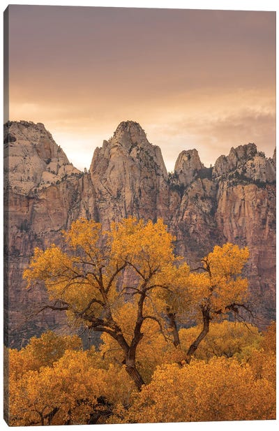 Watching Over Zion Canvas Art Print - Layered Landscapes