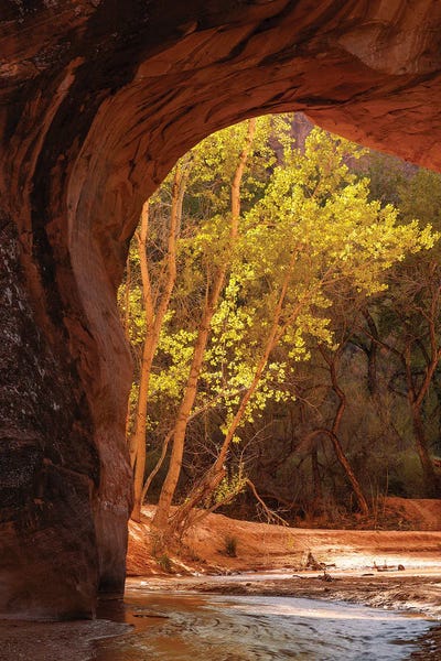 Dustin LeFevre: Autumn Arch by Dustin LeFevre