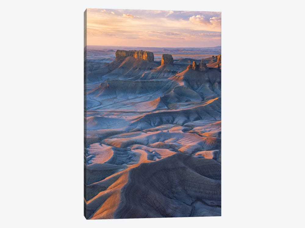 Into The Badlands by Dustin LeFevre 1-piece Canvas Wall Art
