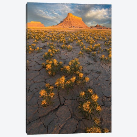 Field Of Gold Canvas Print #DLF153} by Dustin LeFevre Canvas Wall Art