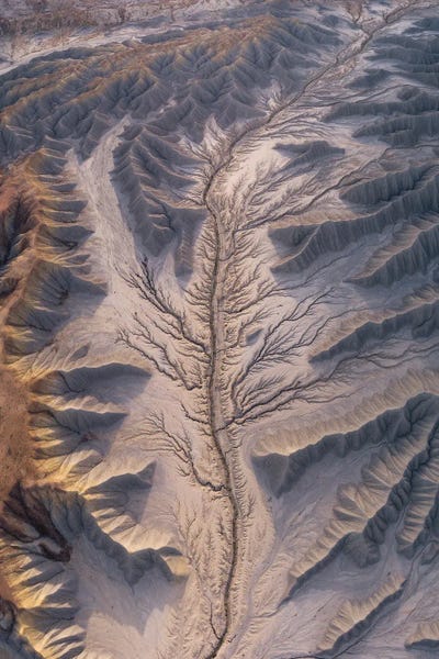 Dustin LeFevre: Anemia by Dustin LeFevre