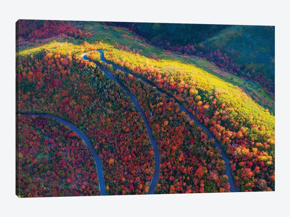 Wasatch State Park by Dustin LeFevre 1-piece Canvas Print