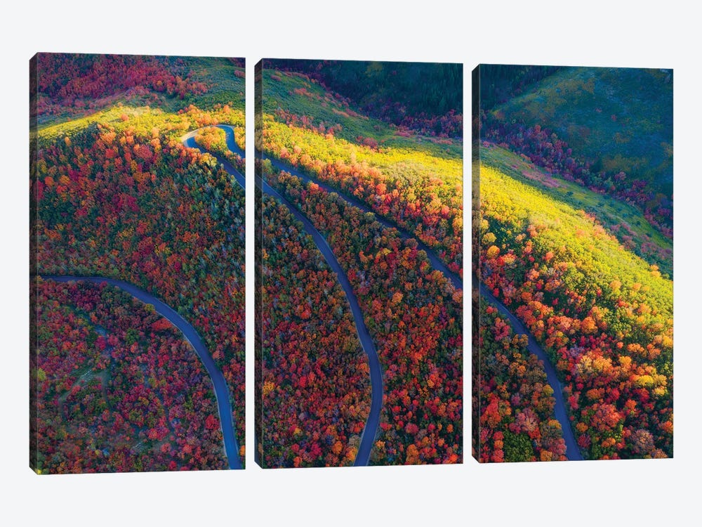 Wasatch State Park by Dustin LeFevre 3-piece Canvas Art Print