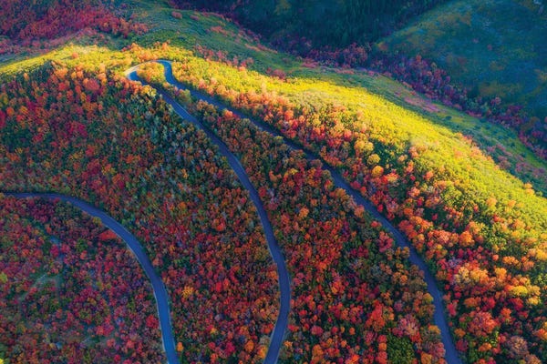 Dustin LeFevre: Wasatch State Park by Dustin LeFevre