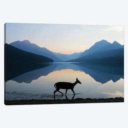 The Grace Of Wild Things Canvas Print #DLF160} by Dustin LeFevre Art Print
