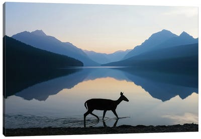 The Grace Of Wild Things Canvas Art Print - Montana Art
