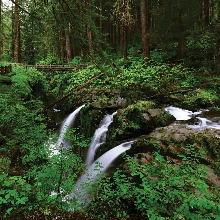 Sol Duc Falls