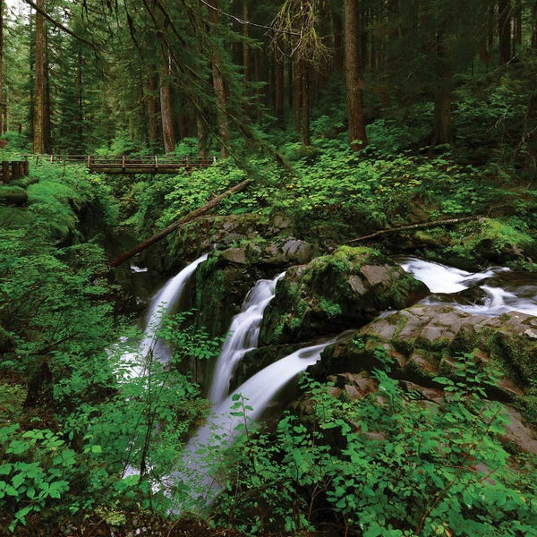 Washington: Sol Duc Falls by Dustin LeFevre
