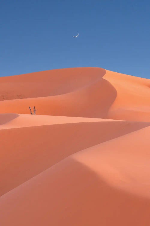 Coral Dunes