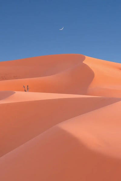 Coral Dunes