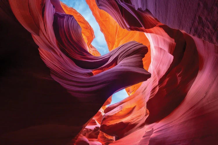 Sacred Flow by Dustin LeFevre wall art