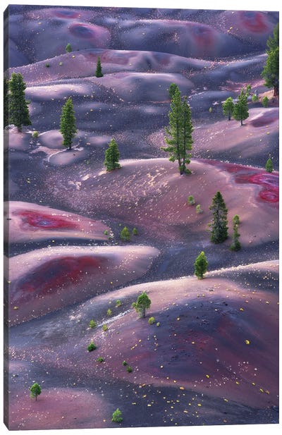 Cinderlands Canvas Art Print - Sunset Shades