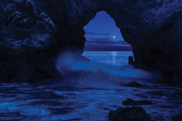 Dustin LeFevre: Only Dreams by Dustin LeFevre