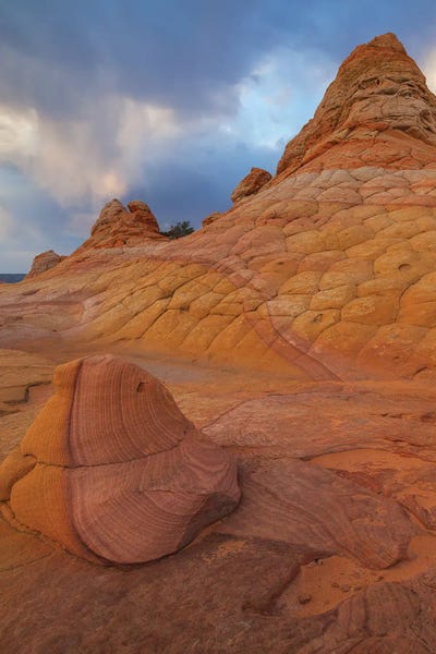 Half And Half Canvas Art Print by Dustin LeFevre iCanvas